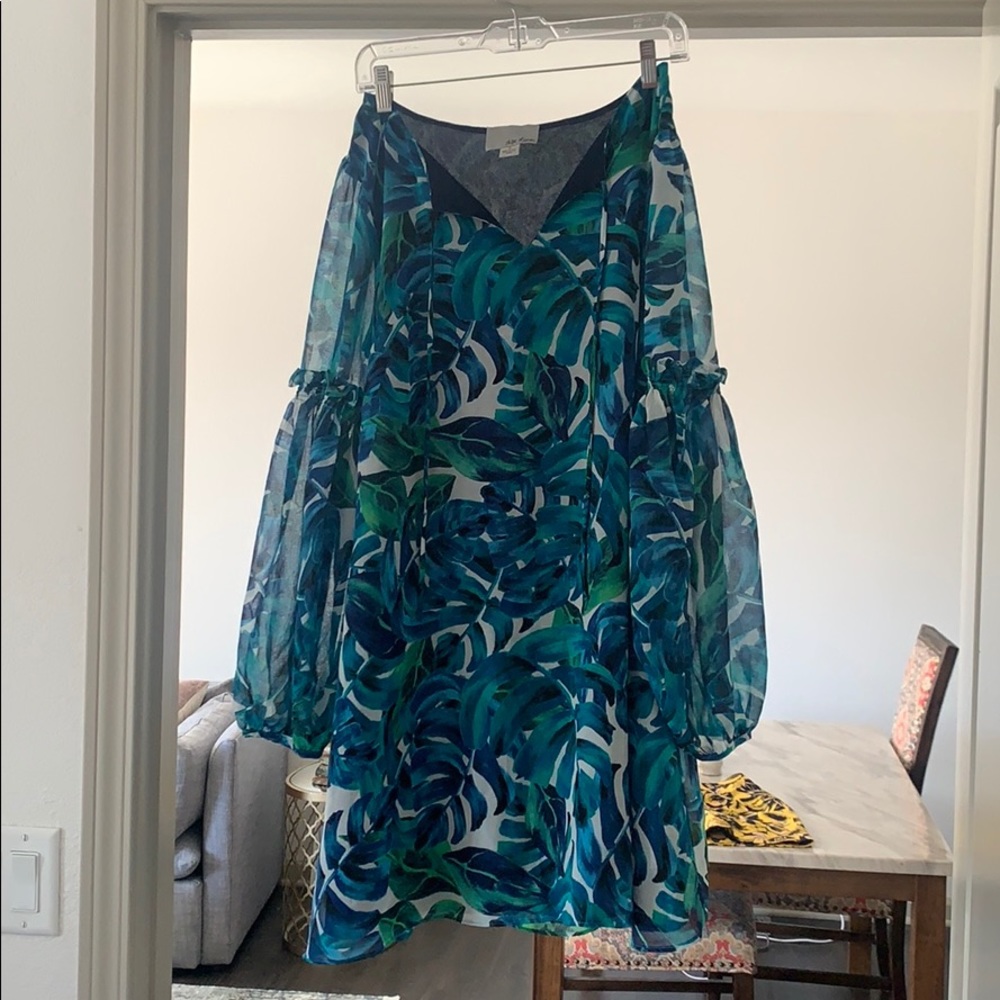 Chloe Oliver designer dress (Anthropologie)